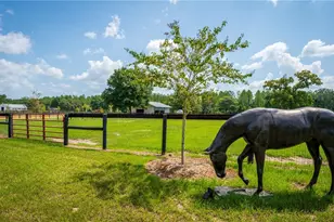 3650 SE 165 Ave, Morriston, FL 32668 - Photo 28