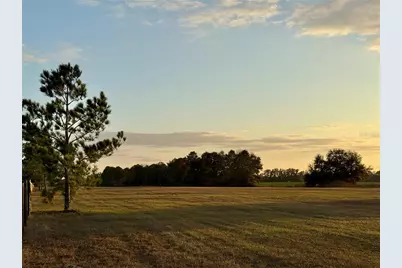 3650 SE 165th Avenue, Morriston, FL 32668 - Photo 58