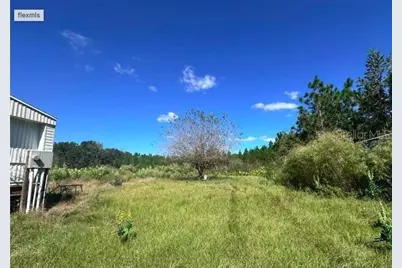 565 SW Daisy Road, Lake City, FL 32024 - Photo 4