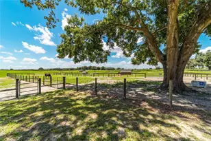 1177 NW 102nd Blvd, Wildwood, FL 34785 - Photo 36