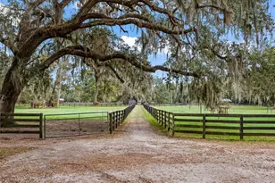 11553 NE Hwy 315, Fort Mc Coy, FL 32134 - Photo 46