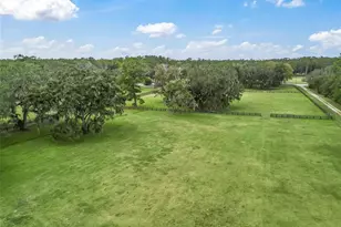 11553 NE Hwy 315, Fort Mc Coy, FL 32134 - Photo 32