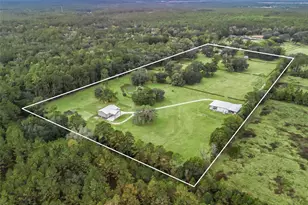 11553 NE Hwy 315, Fort Mc Coy, FL 32134 - Photo 50