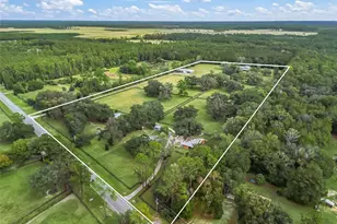 11553 NE Hwy 315, Fort Mc Coy, FL 32134 - Photo 48