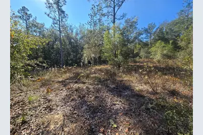 11136 N Vesta Point, Dunnellon, FL 34434 - Photo 6