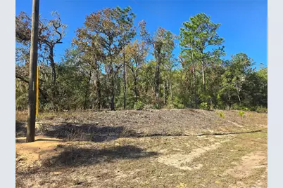 11136 N Vesta Point, Dunnellon, FL 34434 - Photo 1