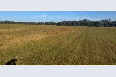 Tbd NW 100th Street, Ocala, FL 34475 - Photo 4