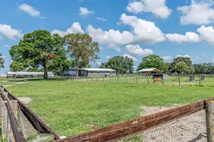 1231 NW 102nd Blvd, Wildwood, FL 34785 - Photo 76