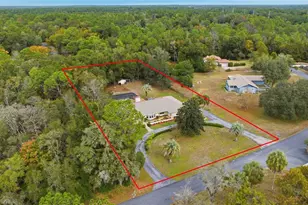 9825 SW 202nd Avenue Rd, Dunnellon, FL 34431 - Photo 8