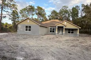 8669 SW 138th Terrace, Dunnellon, FL 34432 - Photo 4