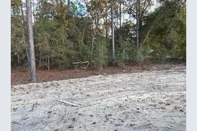 8669 SW 138th Terrace, Dunnellon, FL 34432 - Photo 10