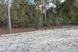 8669 SW 138th Terrace, Dunnellon, FL 34432 - Photo 10