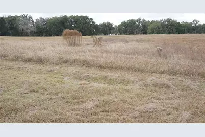 00 (Tbd) NE 141st Street, Citra, FL 32113 - Photo 12