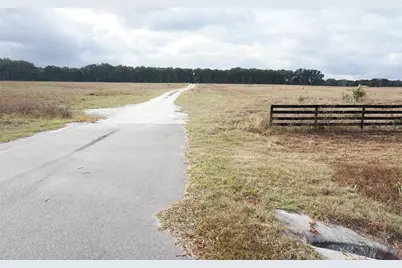 00 (Tbd) NE 141st Street, Citra, FL 32113 - Photo 2