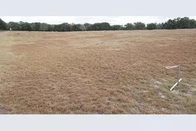 00 (Tbd) NE 141st Street, Citra, FL 32113 - Photo 8