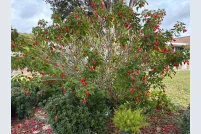 17747 SE 97th Avenue, Summerfield, FL 34491 - Photo 52