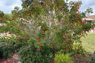 17747 SE 97th Ave, Summerfield, FL 34491 - Photo 52