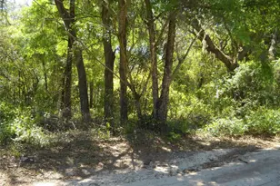 00 NE 161 St, Citra, FL 32113 - Photo 1