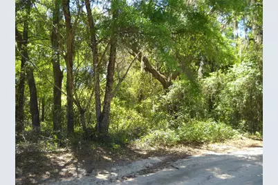 00 NE 161 Street, Citra, FL 32113 - Photo 2