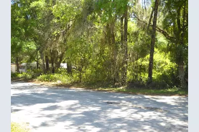 00 NE 161 Street, Citra, FL 32113 - Photo 4