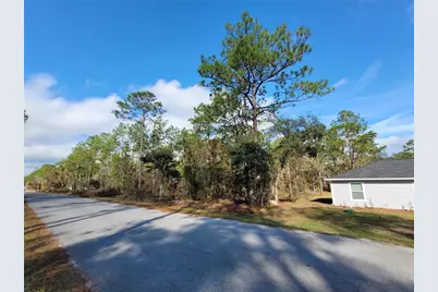 0 NW Foxglove Lane, Dunnellon, FL 34431 - Photo 4