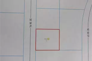 18415 SE 58th Pl, Ocklawaha, FL 32179 - Photo 74