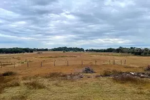 15731 SE 72 Pl, Morriston, FL 32668 - Photo 20