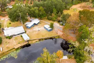 21162 NE 146th Pl, Salt Springs, FL 32134 - Photo 40