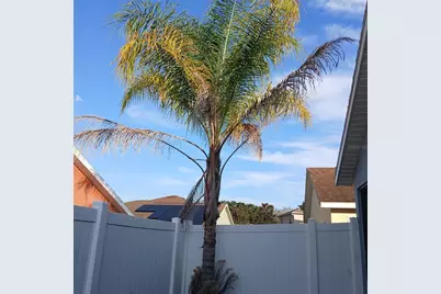 4896 NE 123rd Lane, Oxford, FL 34484 - Photo 38