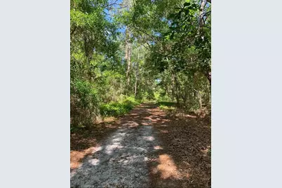 0 NE 226th Street #58, Fort Mc Coy, FL 32134 - Photo 2
