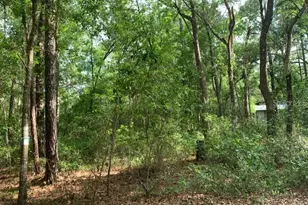 0 NE 226th St, Fort Mc Coy, FL 32134 - Photo 1