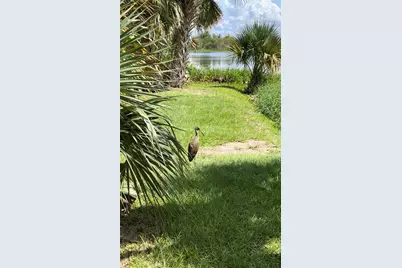 5915 Avenue F, Mc Intosh, FL 32664 - Photo 52