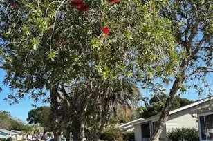 8472 SW 109th St, Ocala, FL 34481 - Photo 58