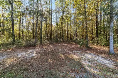 8386 NW 118th Terrace, Ocala, FL 34482 - Photo 52