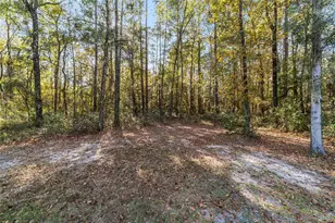 8386 NW 118th Terrace, Ocala, FL 34482 - Photo 52