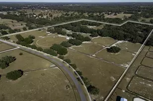 4951 SE 216 Ave, Morriston, FL 32668 - Photo 2