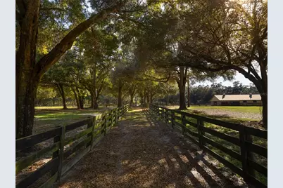 4951 SE 216th Avenue, Morriston, FL 32668 - Photo 30