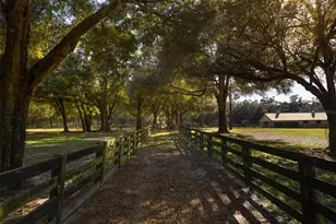 4951 SE 216 Ave, Morriston, FL 32668 - Photo 30