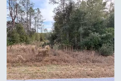 0 SW Cardinal Avenue, Dunnellon, FL 34431 - Photo 1