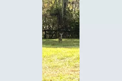 0 N Hwy US 27, Ocala, FL 34482 - Photo 12