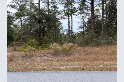 0 SW Audubon Avenue, Dunnellon, FL 34431 - Photo 1