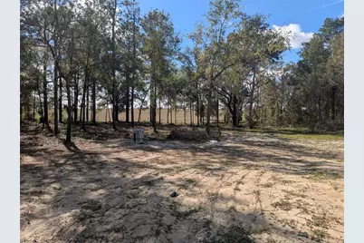 23360 SW Tiger Lake Boulevard, Dunnellon, FL 34431 - Photo 4