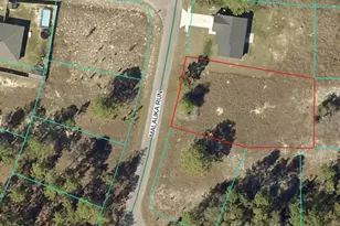 Lot 5 SE Malauka Run, Ocklawaha, FL 32179 - Photo 1