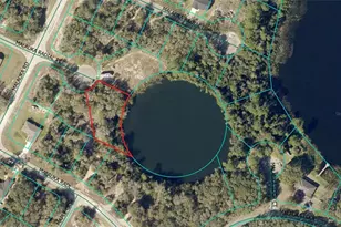 0 Malauka Radial Ct, Ocklawaha, FL 32179 - Photo 1