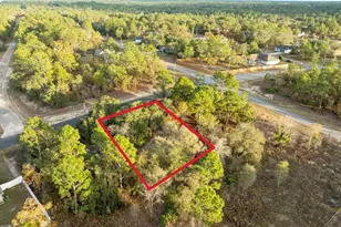 2567 W Wilmington Loop, Citrus Springs, FL 34434 - Photo 1