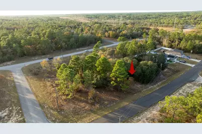 2567 W Wilmington Loop, Citrus Springs, FL 34434 - Photo 10