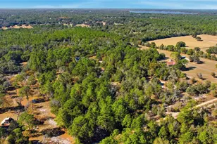 9600 N Holyoak Terrace, Dunnellon, FL 34433 - Photo 6