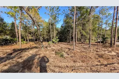 Sw 53rd Street, Ocala, FL 34481 - Photo 6