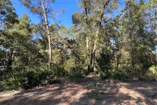 Tbd SE 179th Pl, Summerfield, FL 34491 - Photo 1