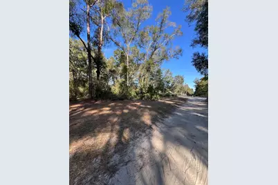 Tbd SE 179th Place, Summerfield, FL 34491 - Photo 2